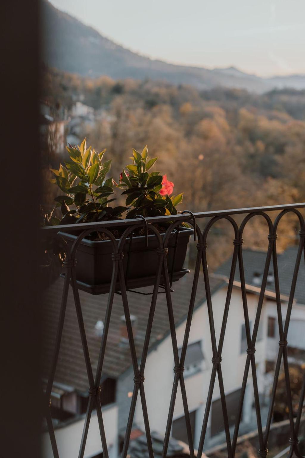 Guesthouse Giulietta E Romeo Cossogno Exterior photo